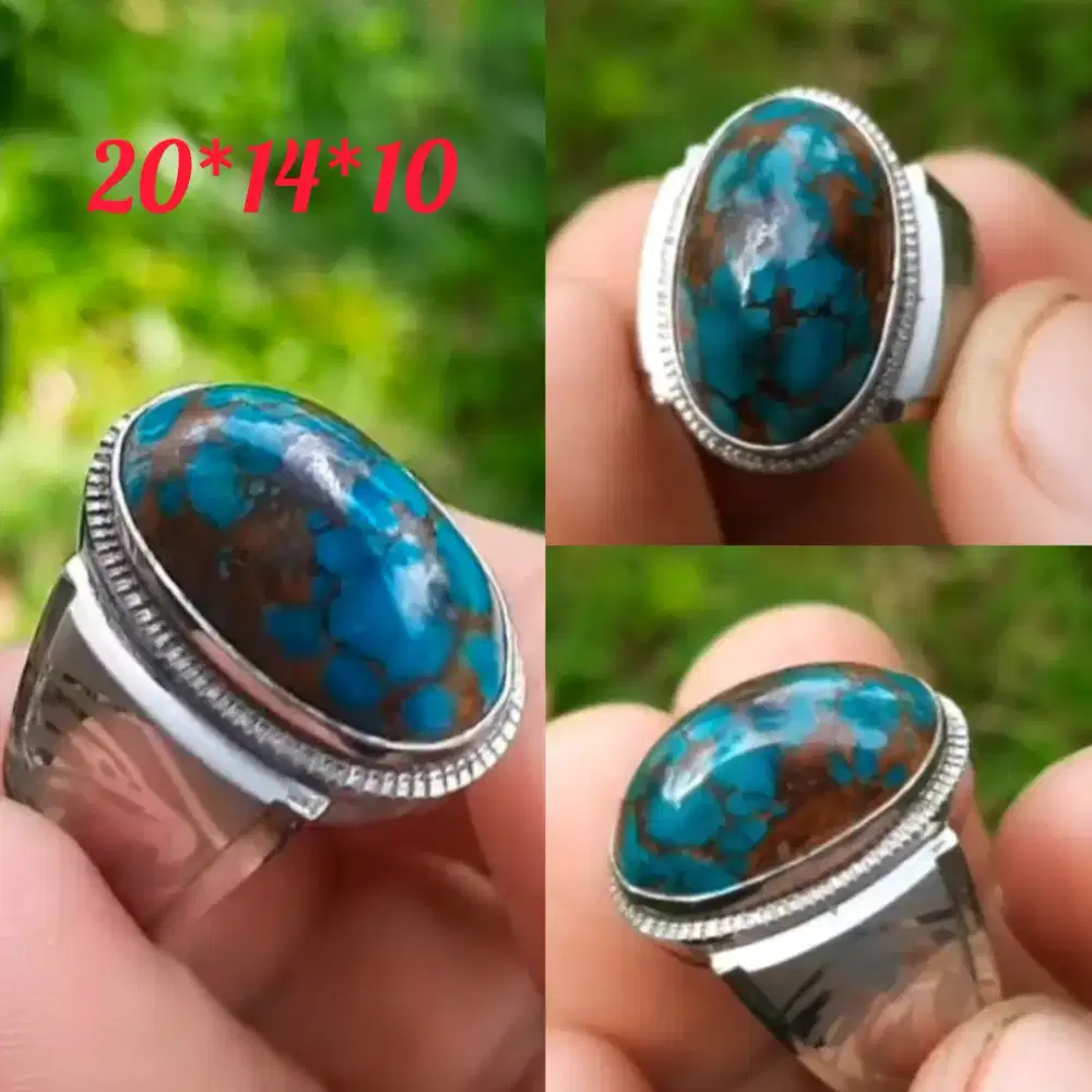 pirus persia royal blue lawasan mumbul