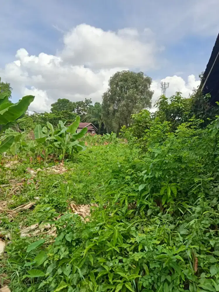 DIJUAL CEPAT MURAH (BU) TANAH PUSAT KOTA PALANGKARAYA (HARGA NEGO)