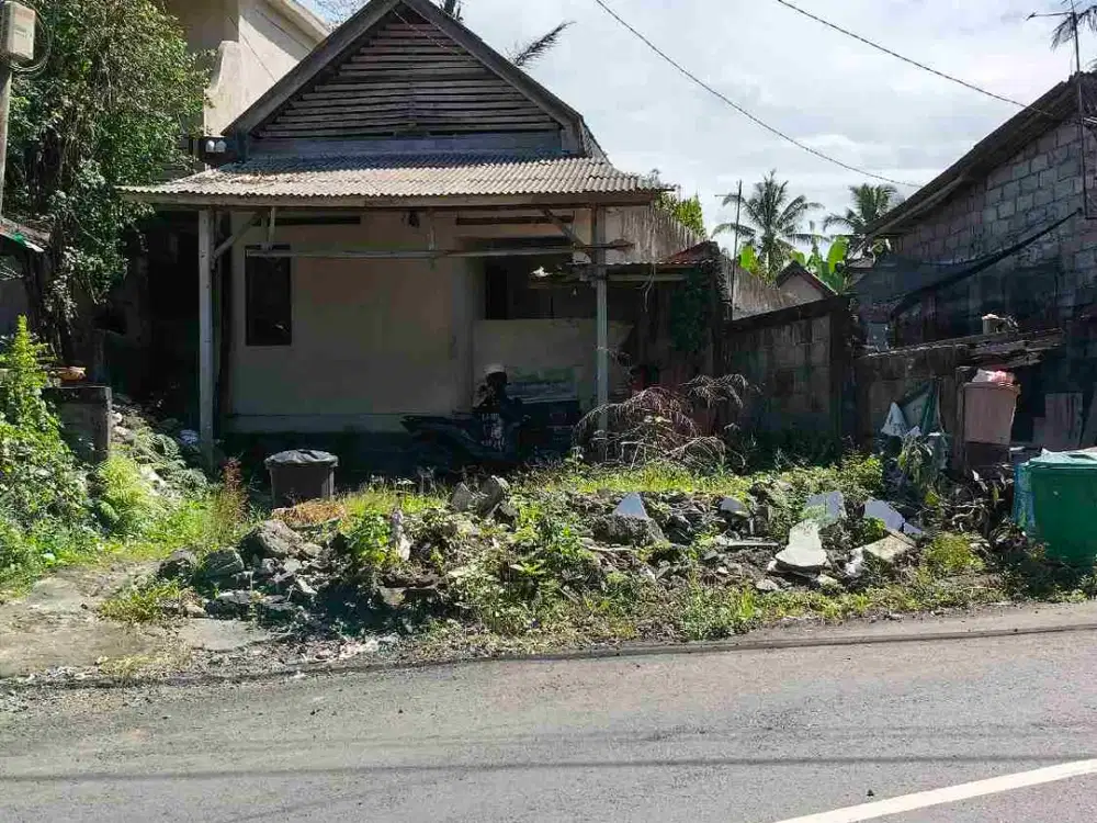 Yellow Zone Land on Tirta Tawar Main Road Ubud Bali