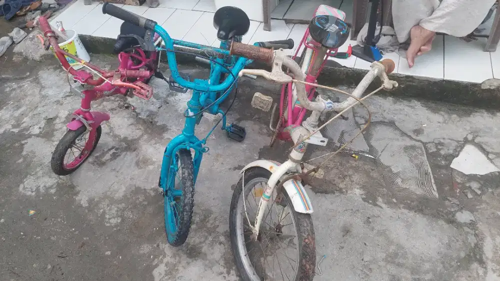 3 sepeda anak borongin
