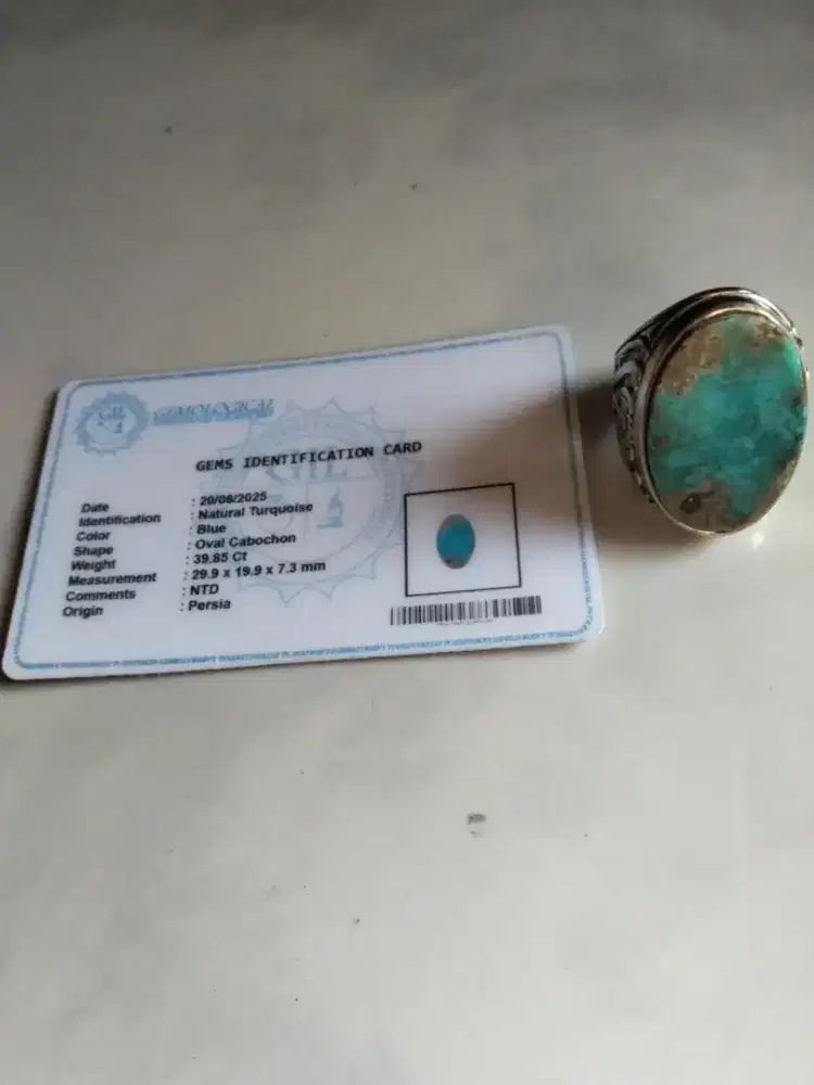 Buta pirus persia bersertifikat