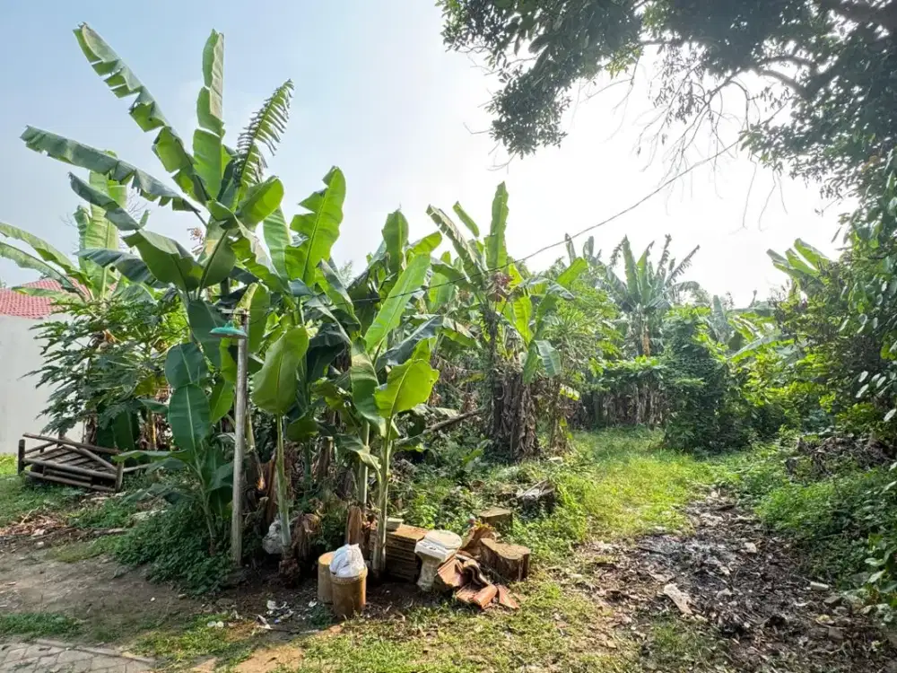 Dijual Tanah Kavling Siap Bangun Di Nusaloka BSD