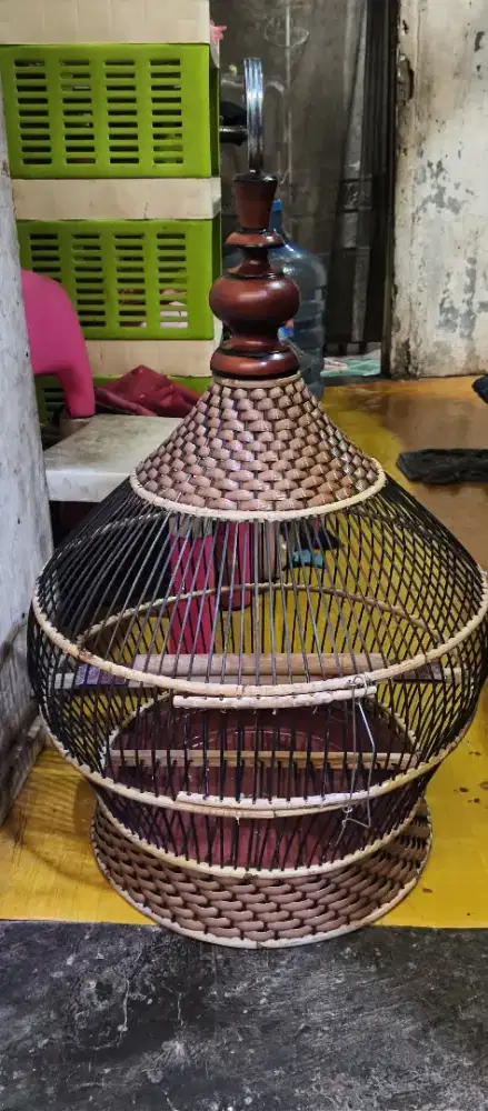 Sangkar perkutut baru