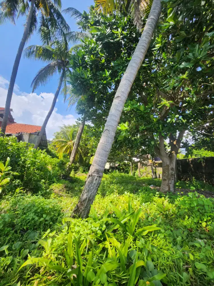 Di jual cepat tanah sendiri tanpa perantara..cocok buat usaha