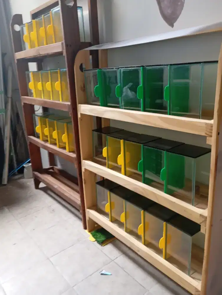 Rak Cupang + aquarium soliter