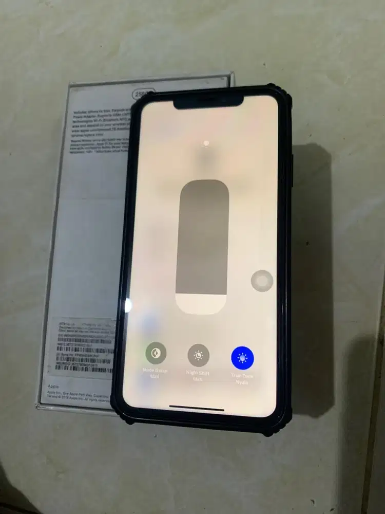 Iphone xs max 256 inter