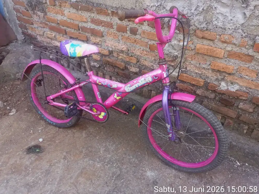 Sepeda anak family
