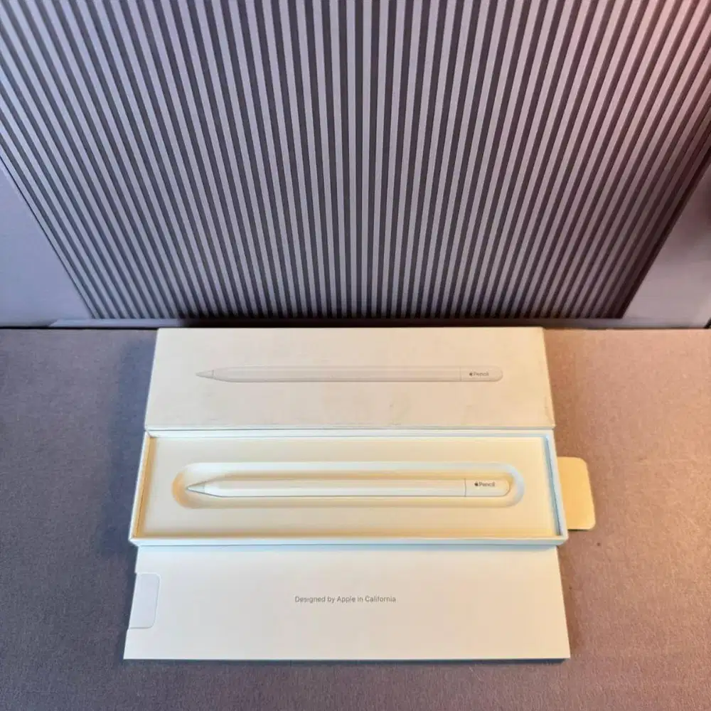 Apple Pencil USB-C Original Resmi Ibox