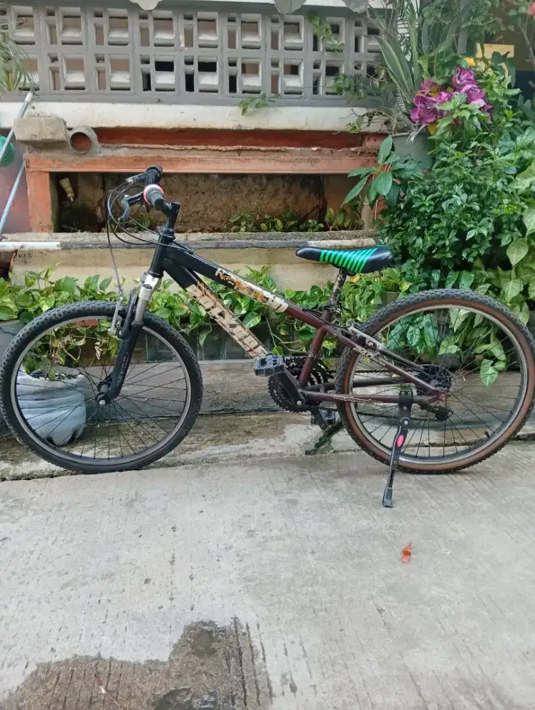 SEPEDA MTB POLYGON RECOIL RING 24
