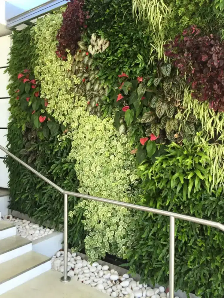 pembuatan taman vertikal garden