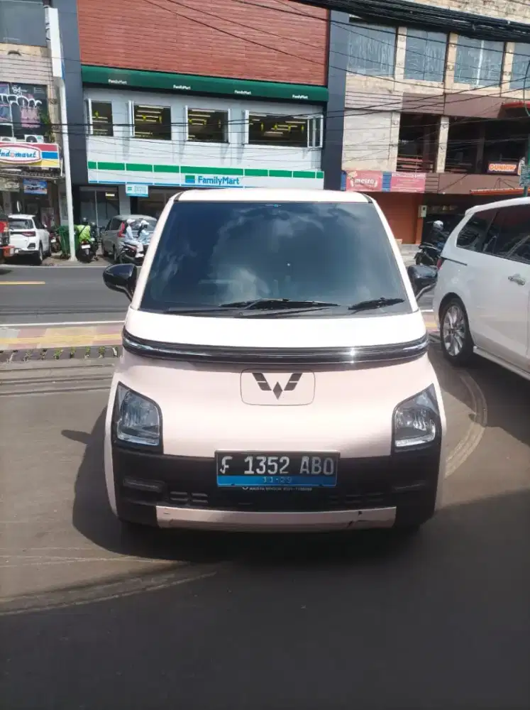 Air ev lite 300 km warna pink