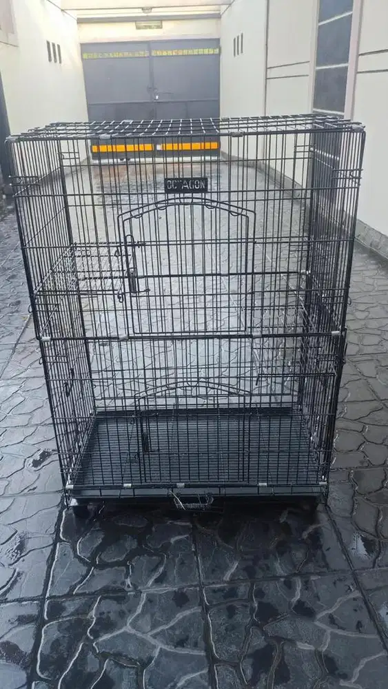 Kandang Kucing Merek Octagon istimewa