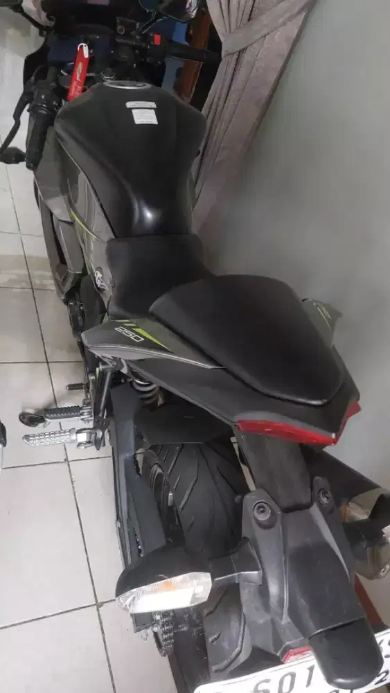 Motor Ninja 250Cc
