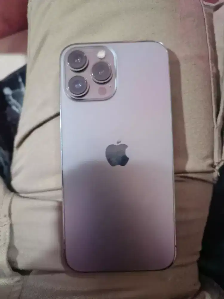 iPhone 13 promax