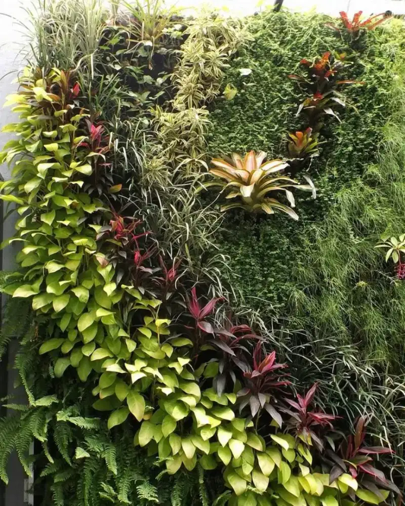 taman vertikal garden