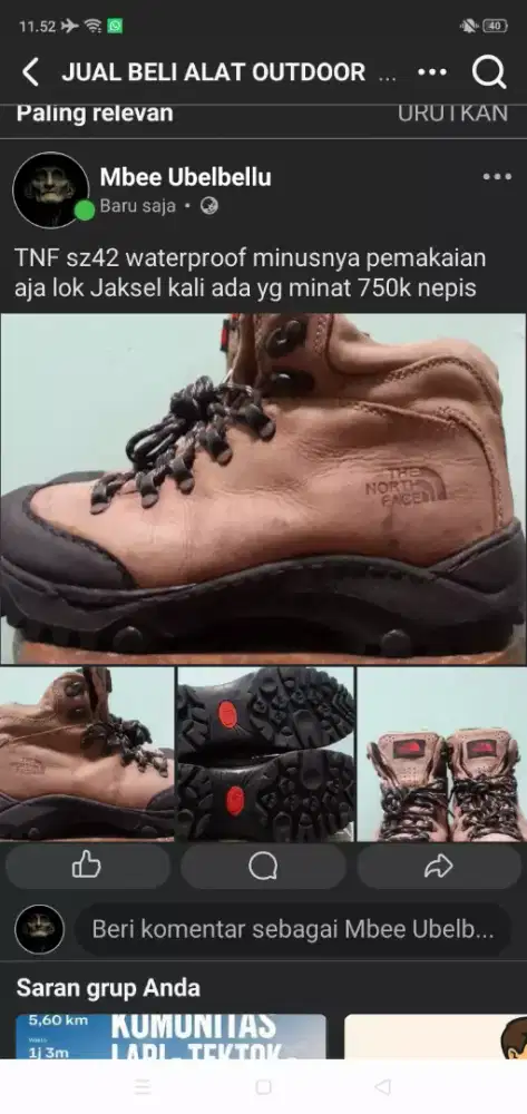 The north face Hiking shoes