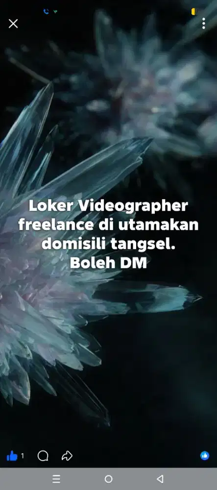 Videographer / editor