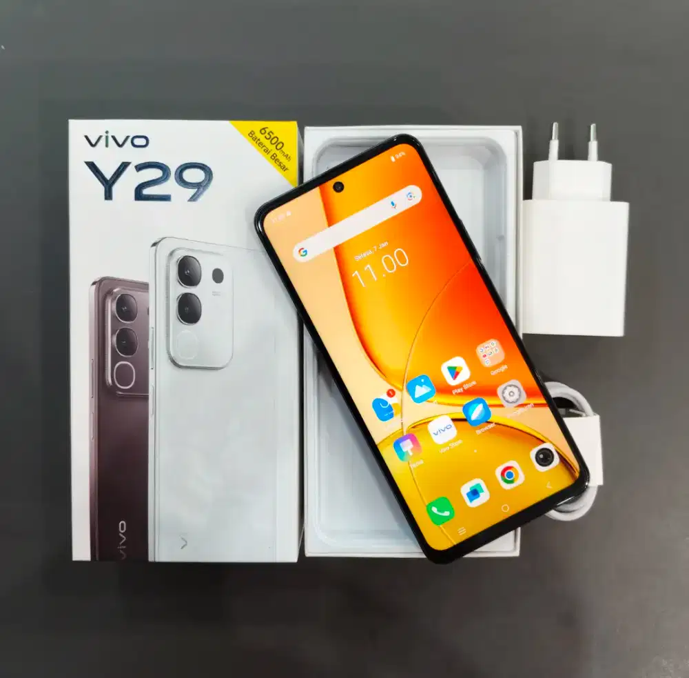 Jual Hp Ex Demo Vivo Y29 6/128