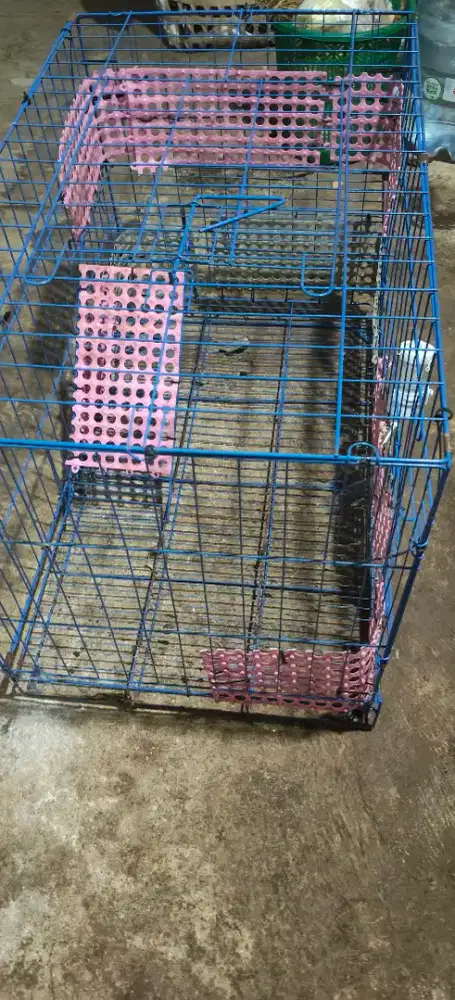 Jual kandang kucing atau kelinci