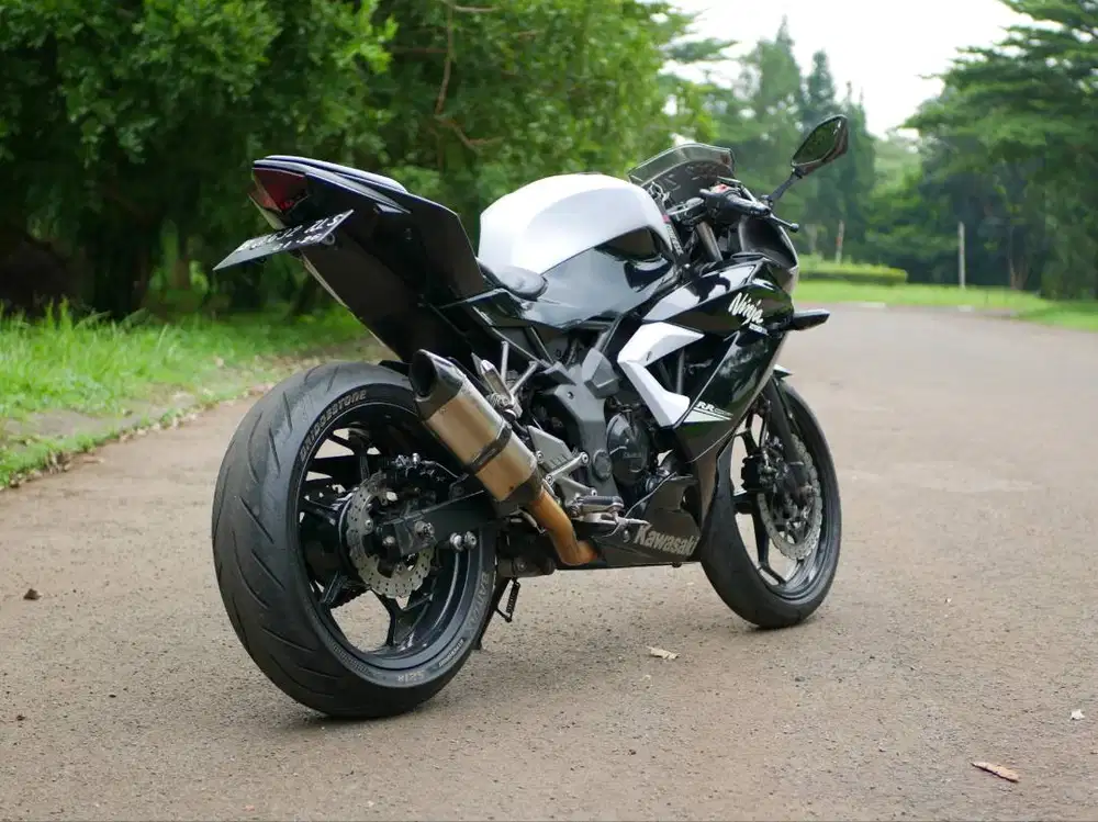 Kawasaki Ninja RR Mono / 250 SL / Ninja Mono / Ninja 250SL