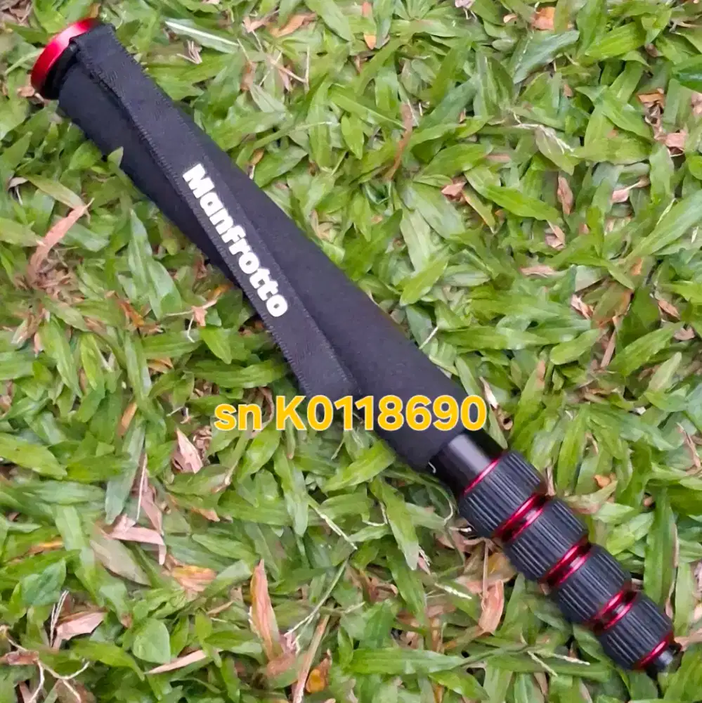 Monopod Manfrotto MMELEA5RD