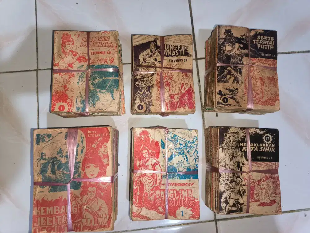 Buku silat stevanus