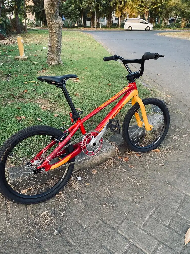 BMX POLYGON RAZOR size pro xl . Full modif