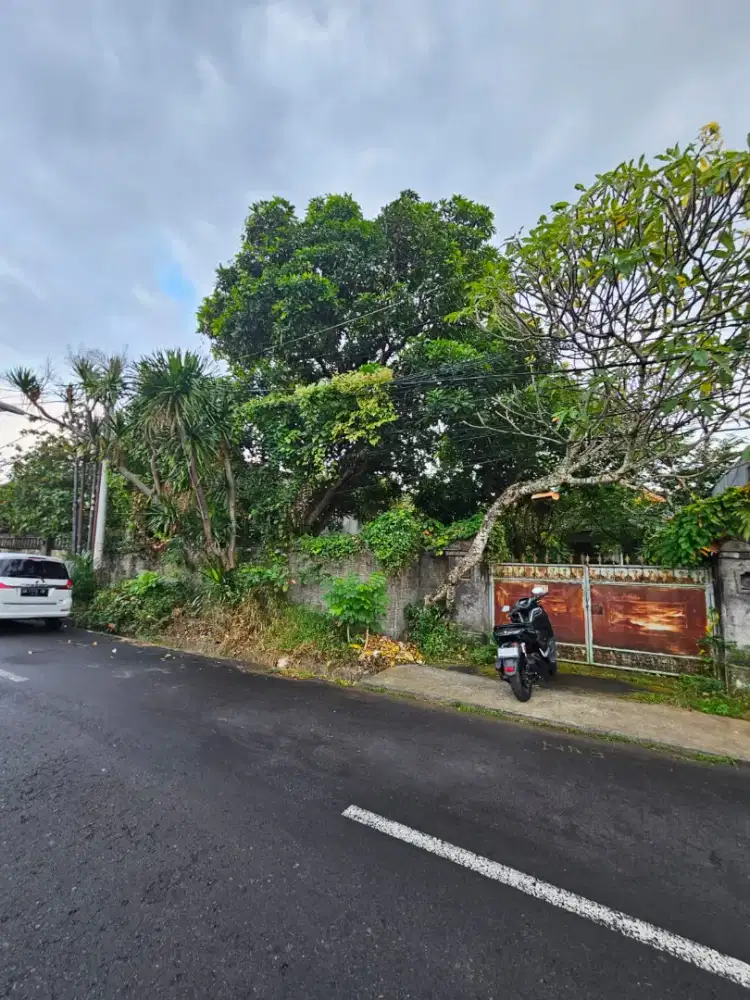 Di kontrakan tanah jalan Merdeka, DPS, Bali