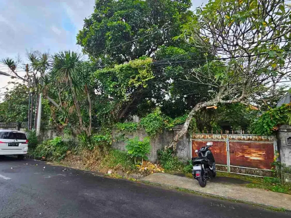 Di kontrakan tanah jalan Merdeka , Renon, Denpasar, Bali