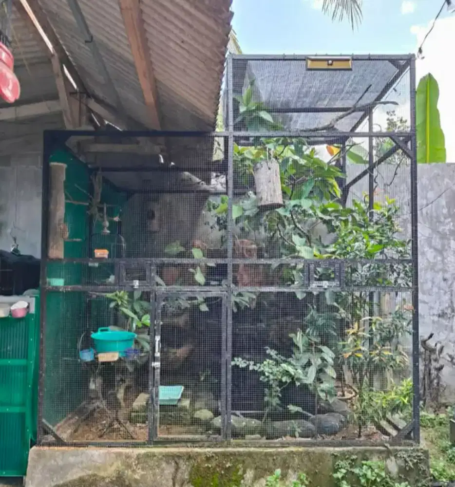 Kandang Aviari burung