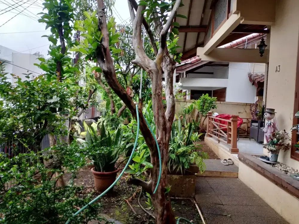 Dijual Rugi! Rumah SHM di Cicendo 1,9 M