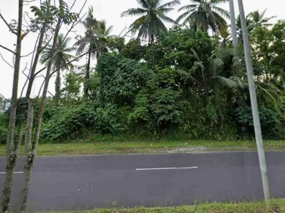 DIJUAL CEPAT TANAH SANGAT STRATEGIS DAERAH MAPANGET, HARGA SANGAT MURAH