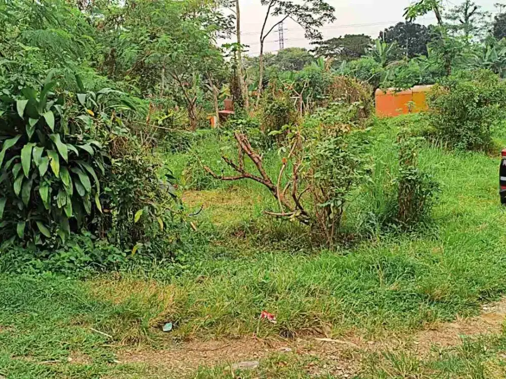 Bismillah Jual Tanah Murah Dibawah NJOP Leuwinanggung Tapos - Kota Depok