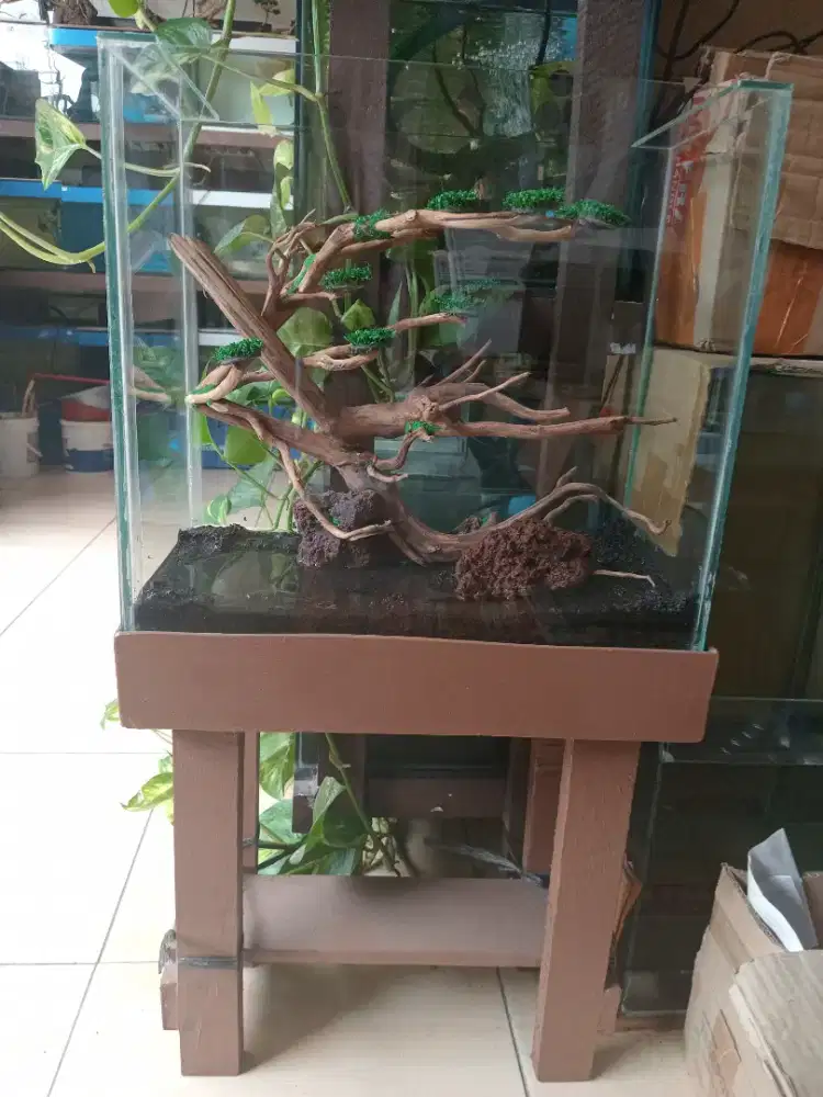 Aquarium ikan hias + meja + hiasan dalam