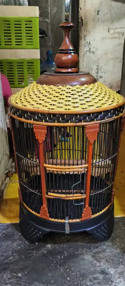 Sangkar perkutut baru