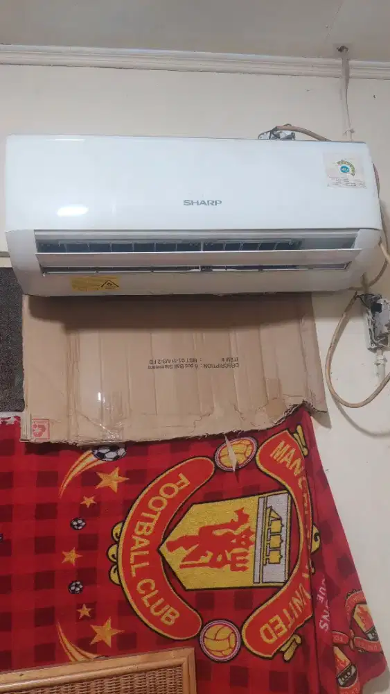 Ac sharp setengah Pk