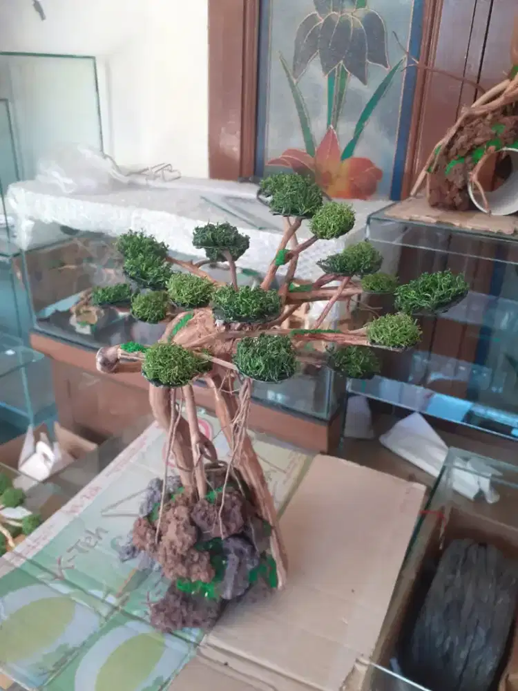 Hiasan aquarium bonsai 02