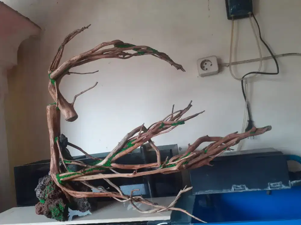 Hiasan aquarium ikan hias