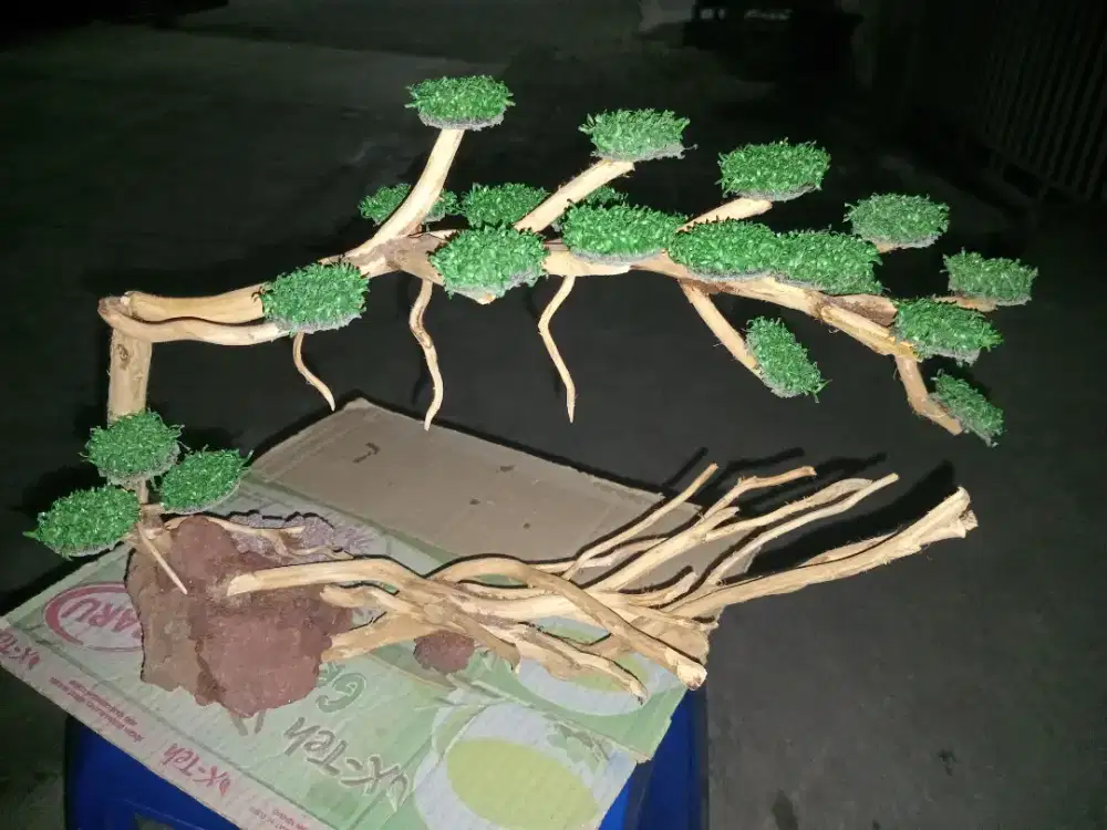 Hiasan aquarium bonsai 03