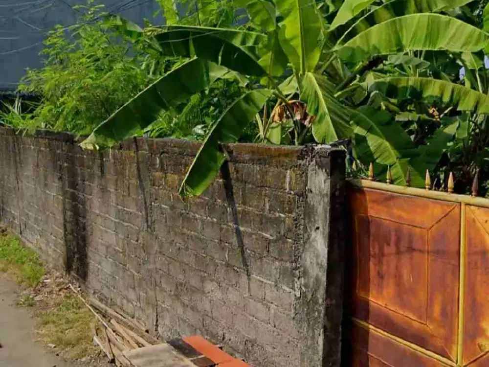 Di jual tanah jalan Kertadalem , Sidakarya , Denpasar, Bali
