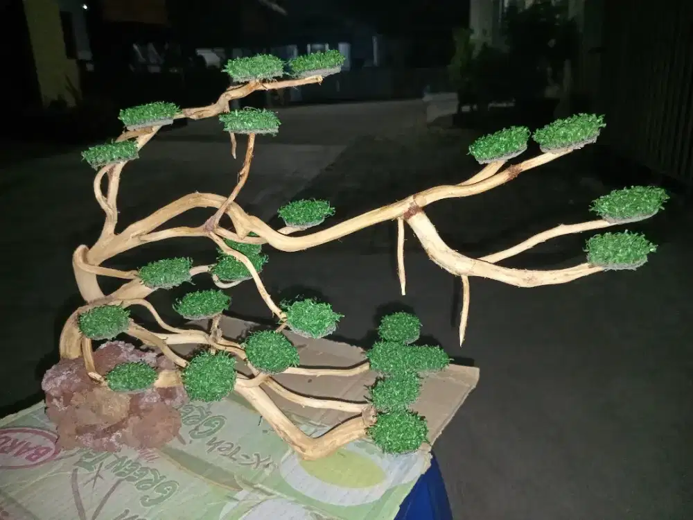 Hiasan aquarium bonsai 04
