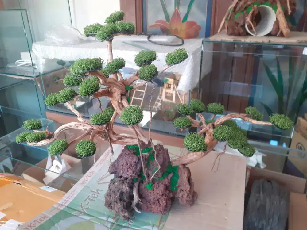 Hiasan aquarium bonsai 05