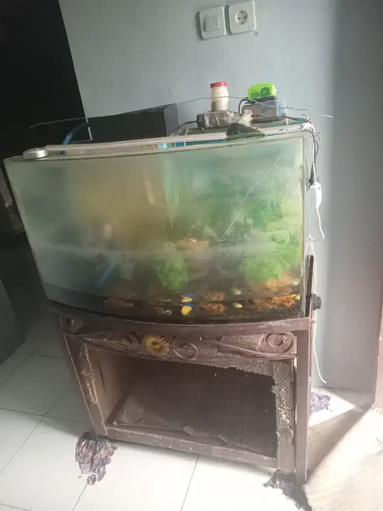 Jual BU Aquarium Jumbo + Rak 700rb (40x60x80)