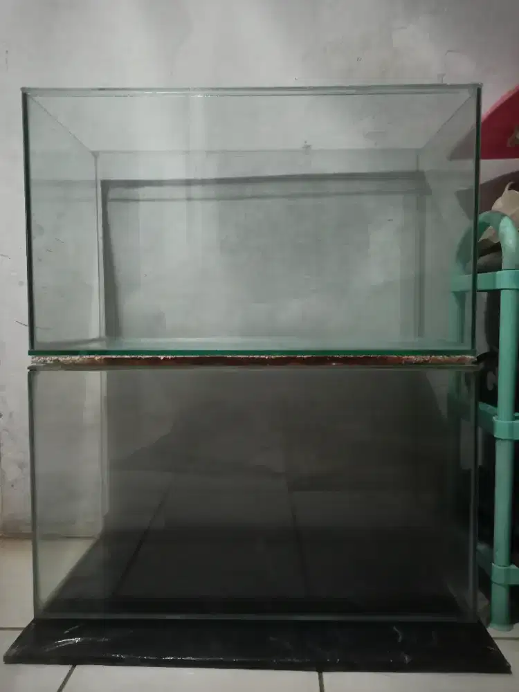 djual: aquarium akuarium ikan murah