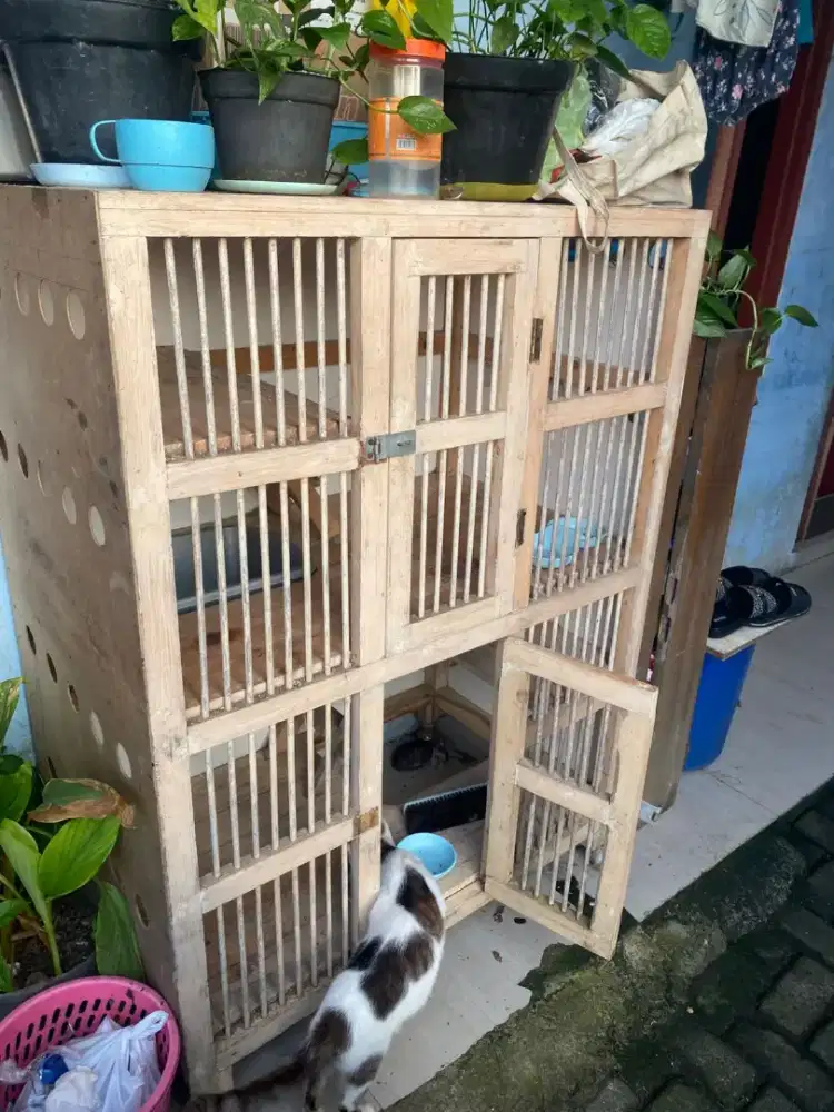 Kandang kucing jati belanda