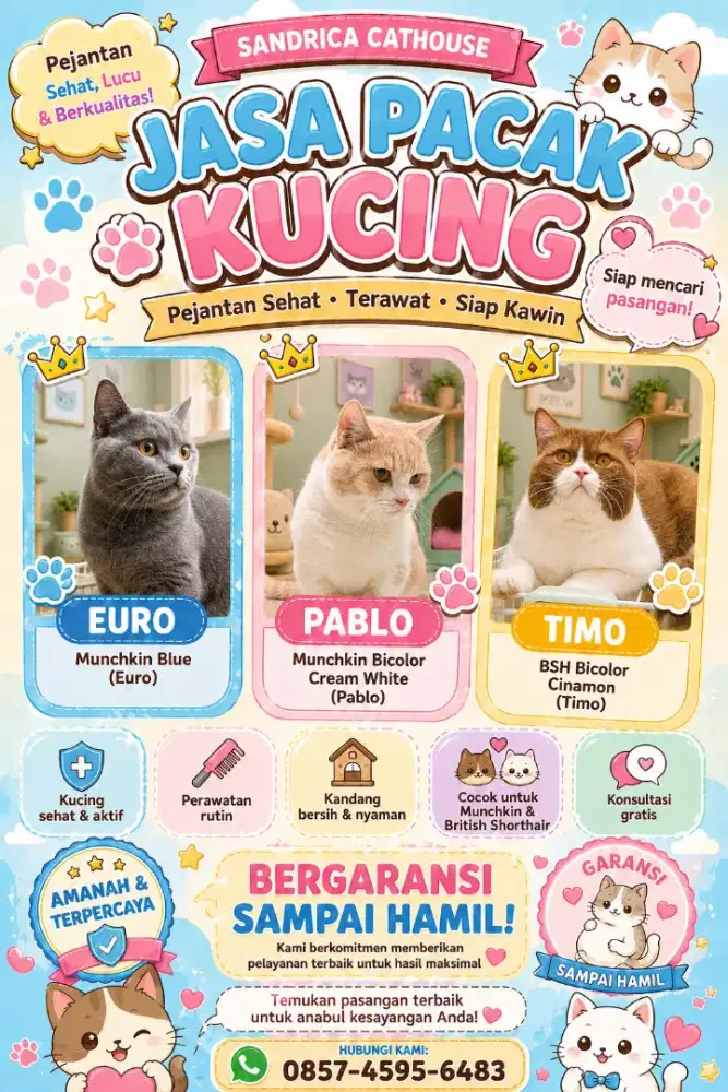 Pacek pacak Perjodohan berbayar