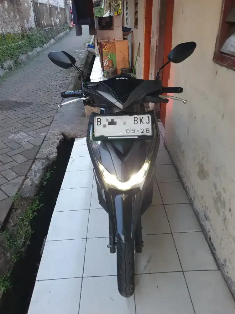 Beat mulus 2023