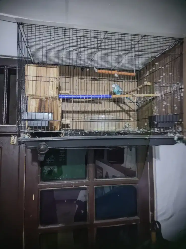 Parkit & kenari