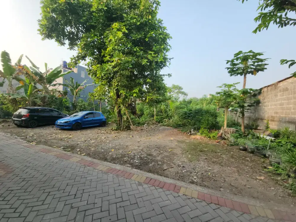 Tanah 450m bagus shmp di tiyasan condongcatur yogyakarta