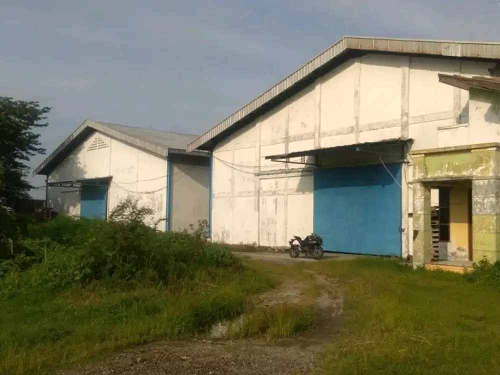 BALONG PANGGANG